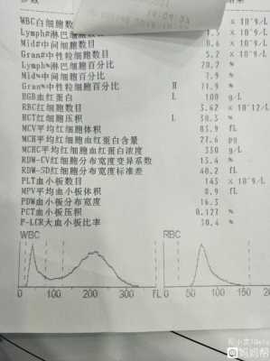 孕期中性粒细胞数偏高(孕期中性粒细胞数偏高) 第1张 孕期中性粒细胞数偏高(孕期中性粒细胞数偏高) 第1张