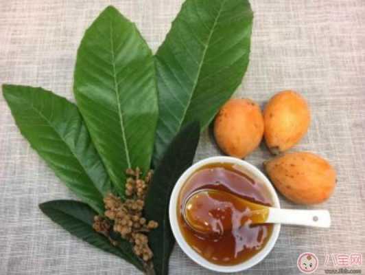 怀孕期间可以吃枇杷吗(怀孕期间可以吃枇杷吗?) 第1张 怀孕期间可以吃枇杷吗(怀孕期间可以吃枇杷吗?) 第1张
