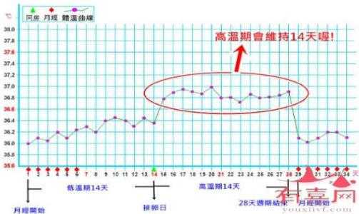 早孕期间体温会升高吗(早孕体温升高持续多久?这个时候我们该如何是好呢) 第1张 早孕期间体温会升高吗(早孕体温升高持续多久?这个时候我们该如何是好呢) 第1张