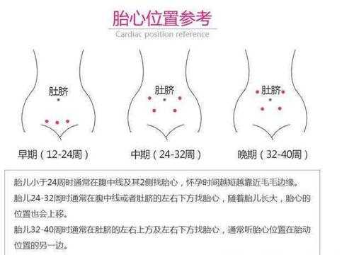 胎儿多大能听到胎心(胎儿多大能听到胎心音) 第1张 胎儿多大能听到胎心(胎儿多大能听到胎心音) 第1张