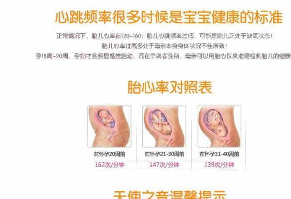 胎儿多大能听到胎心(胎儿多大能听到胎心音) 第2张 胎儿多大能听到胎心(胎儿多大能听到胎心音) 第2张