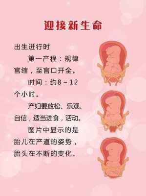 胎儿娩出的七个步骤（胎儿娩出的七个步骤衔接）  第3张