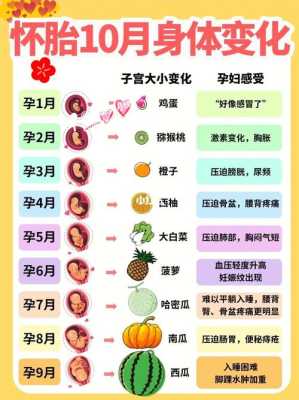孕期一个月是几周(孕期一个月是几周到几周) 第2张 孕期一个月是几周(孕期一个月是几周到几周) 第2张