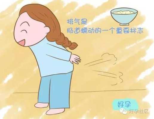 胎儿会在肚子里放屁吗(30周的胎儿会在肚子里放屁吗) 第3张 胎儿会在肚子里放屁吗(30周的胎儿会在肚子里放屁吗) 第3张
