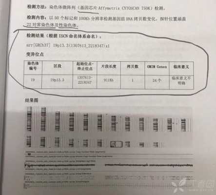 胎儿基因芯片是什么东西,基因芯片检测胎儿什么疾病 第2张 胎儿基因芯片是什么东西,基因芯片检测胎儿什么疾病 第2张