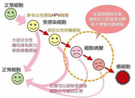 孕妇得了支原体感染应该怎么办,孕期感染hpv会传染给胎儿吗  第3张