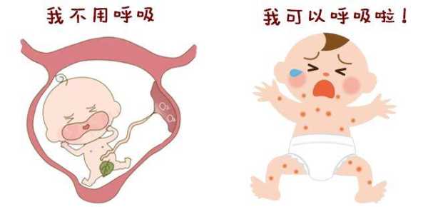 胎儿在子宫里怎么呼吸（胎儿在子宫里怎么呼吸 为什么会缺氧）  第1张
