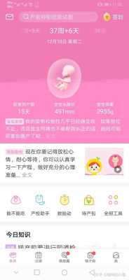 记录孕期(记录孕期的软件叫什么) 第3张 记录孕期(记录孕期的软件叫什么) 第3张