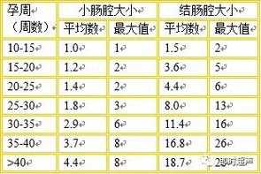 胎儿肠段内含液量偏多(胎儿肠段内含液量偏多,最多11cm) 第1张 胎儿肠段内含液量偏多(胎儿肠段内含液量偏多,最多11cm) 第1张