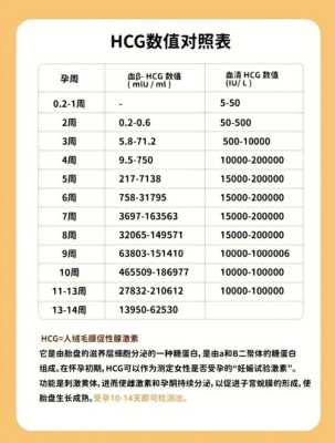 孕期hcg(孕期hcg正常值参考表) 第1张 孕期hcg(孕期hcg正常值参考表) 第1张