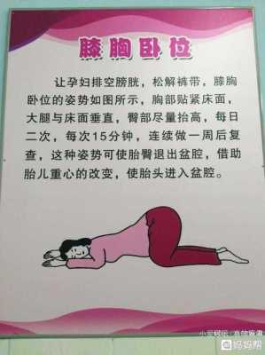胎儿横位怎么纠正图解(胎儿横位是运动太少的关系吗) 第3张 胎儿横位怎么纠正图解(胎儿横位是运动太少的关系吗) 第3张