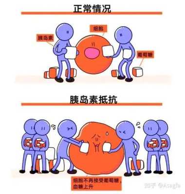 血糖高孕妇能打胰岛素吗,孕期胰岛素抵抗高峰期是什么时候  第2张