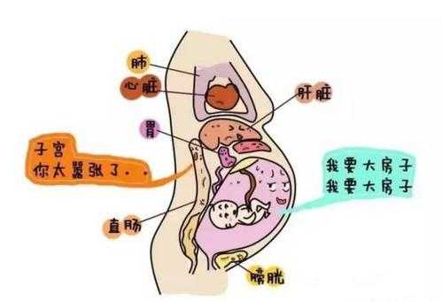 怀孕便秘对胎儿有什么影响(怀孕便秘对胎儿有什么影响吗) 第2张 怀孕便秘对胎儿有什么影响(怀孕便秘对胎儿有什么影响吗) 第2张