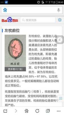 胎儿左枕前位是什么意思(胎儿左枕前位是什么意思图片) 第2张 胎儿左枕前位是什么意思(胎儿左枕前位是什么意思图片) 第2张
