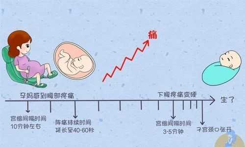 胎儿发动前有什么预兆(生孩子发作之前的征兆是什么) 第2张 胎儿发动前有什么预兆(生孩子发作之前的征兆是什么) 第2张