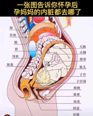 胎儿踢膀胱是什么感觉（胎儿踢膀胱是什么感觉啊）  第2张