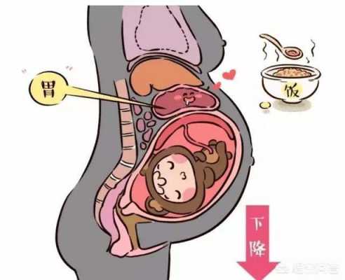 孕期胃难受(孕初期胃难受怎么办) 第3张 孕期胃难受(孕初期胃难受怎么办) 第3张