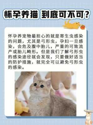 孕期养猫(孕期养猫对胎儿有什么影响) 第1张 孕期养猫(孕期养猫对胎儿有什么影响) 第1张