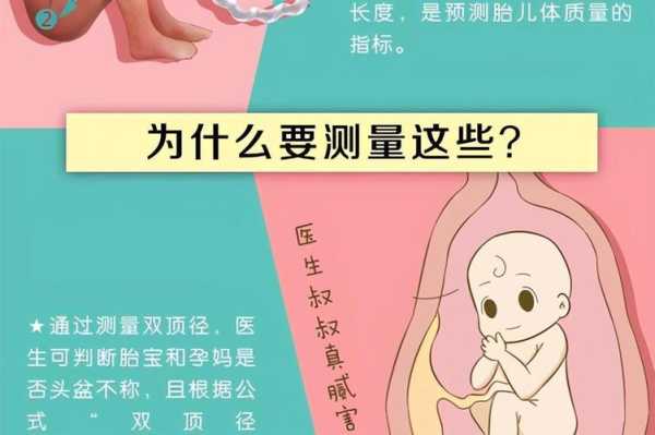 胎儿腿长一定是女孩吗(胎儿腿长的一定是女孩吗) 第2张 胎儿腿长一定是女孩吗(胎儿腿长的一定是女孩吗) 第2张