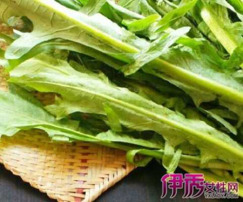 孕妇吃苦菜对胎儿好吗(孕妇吃苦菜对胎儿好吗) 第3张 孕妇吃苦菜对胎儿好吗(孕妇吃苦菜对胎儿好吗) 第3张