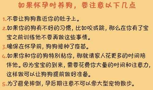 孕期养狗（孕妇养狗要注意什么）  第2张