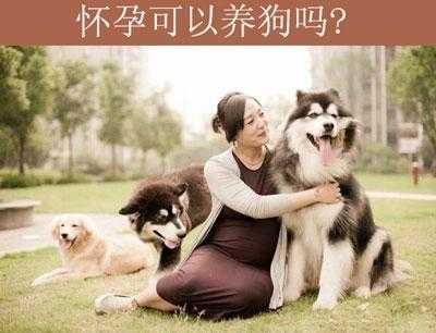 孕期养狗（孕妇养狗要注意什么）  第3张