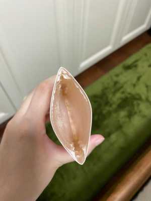 孕期身体乳(孕妇用身体乳) 第3张 孕期身体乳(孕妇用身体乳) 第3张