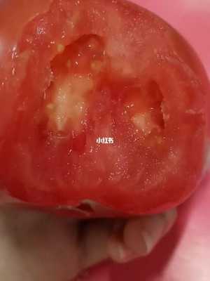 孕妇吃西红柿胎儿白吗(从冰箱拿出的西红柿为什么会变白) 第1张 孕妇吃西红柿胎儿白吗(从冰箱拿出的西红柿为什么会变白) 第1张