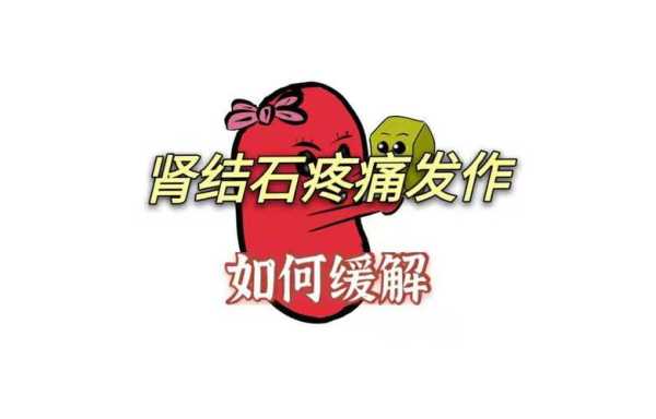 孕妇肾结石痛怎么办,孕期肾结石发作怎么办 第2张 孕妇肾结石痛怎么办,孕期肾结石发作怎么办 第2张