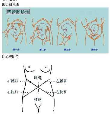 医生如何判断胎儿入盆(医生如何判断胎儿入盆没有) 第2张 医生如何判断胎儿入盆(医生如何判断胎儿入盆没有) 第2张