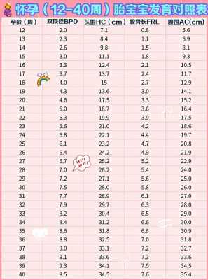 怀孕22周胎儿图片欣赏(22周胎儿头围标准数据是什么,请问谁知道) 第2张 怀孕22周胎儿图片欣赏(22周胎儿头围标准数据是什么,请问谁知道) 第2张