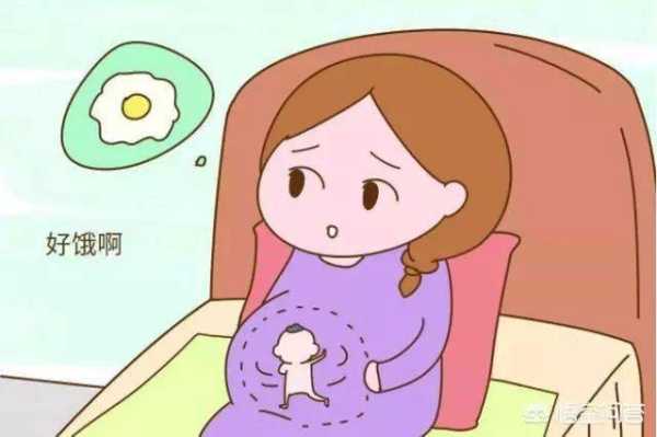 妈妈饿了胎儿也会饿吗(胎儿会跟着母亲熬夜吗) 第2张 妈妈饿了胎儿也会饿吗(胎儿会跟着母亲熬夜吗) 第2张