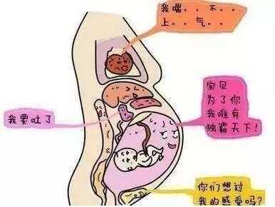 胎儿入盆宫高会降低吗(宝宝入盆后会有什么症状) 第2张 胎儿入盆宫高会降低吗(宝宝入盆后会有什么症状) 第2张