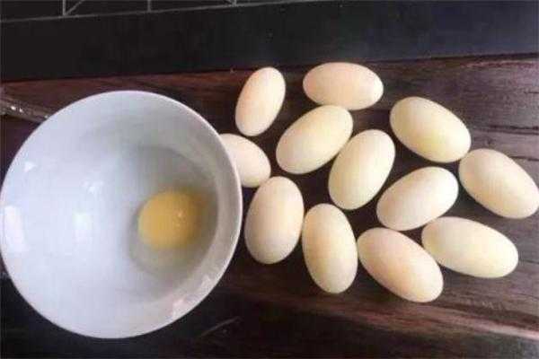 孕期胆(乌龟胆能吃吗?怎么吃) 第1张 孕期胆(乌龟胆能吃吗?怎么吃) 第1张