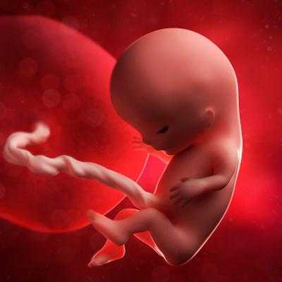怀孕六个月胎儿体重多少正常(怀孕37周胎儿6斤多正常吗) 第3张 怀孕六个月胎儿体重多少正常(怀孕37周胎儿6斤多正常吗) 第3张