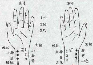 怀孕时脉搏有什么变化,孕期脉搏多少为正常的 第1张 怀孕时脉搏有什么变化,孕期脉搏多少为正常的 第1张