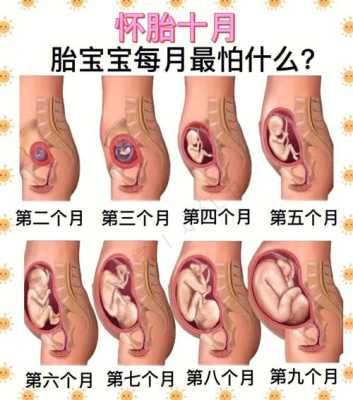 16天宝宝听歌好不好,胎儿最喜欢妈妈干啥 第1张 16天宝宝听歌好不好,胎儿最喜欢妈妈干啥 第1张