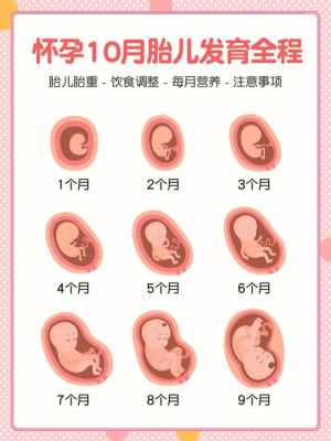 16天宝宝听歌好不好,胎儿最喜欢妈妈干啥 第2张 16天宝宝听歌好不好,胎儿最喜欢妈妈干啥 第2张