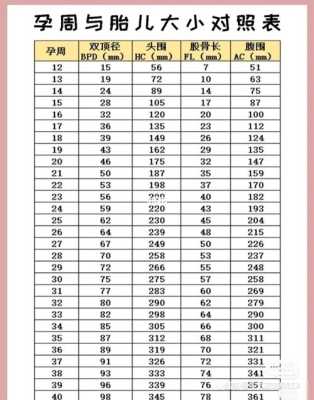 孕晚期胎儿每天长多少,孕晚期胎儿每周体重增加多少正常  第2张