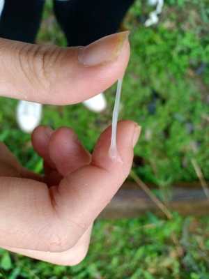 孕期绿色白带(孕期白带黄绿色是怎么回事) 第2张 孕期绿色白带(孕期白带黄绿色是怎么回事) 第2张