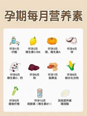 怀孕七八个月要多吃点什么食物好,怀孕8个月一9个月吃什么营养 第1张 怀孕七八个月要多吃点什么食物好,怀孕8个月一9个月吃什么营养 第1张