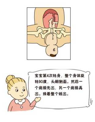 怎么让胎儿转身(怎么让胎儿转身) 第2张 怎么让胎儿转身(怎么让胎儿转身) 第2张
