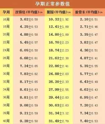 怎样看胎儿体重(怎样看胎儿体重b超单) 第1张 怎样看胎儿体重(怎样看胎儿体重b超单) 第1张