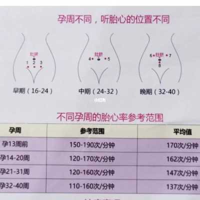 宝宝什么时候有胎心,多久可以听见胎儿心跳声 第3张 宝宝什么时候有胎心,多久可以听见胎儿心跳声 第3张
