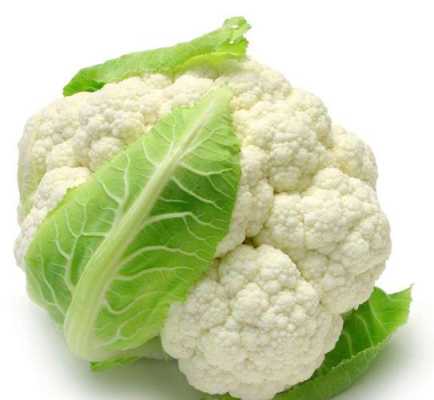 13个月宝宝可以吃菜花吗,孕期不能碰的18种蔬菜 第3张 13个月宝宝可以吃菜花吗,孕期不能碰的18种蔬菜 第3张
