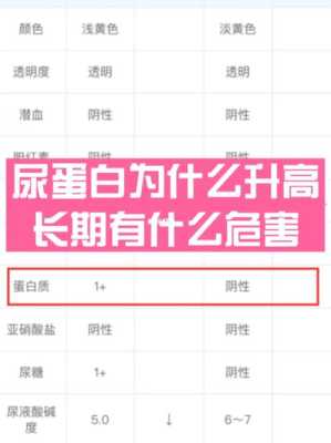 孕期尿蛋白高(孕妇尿蛋白高是怎么回事) 第2张 孕期尿蛋白高(孕妇尿蛋白高是怎么回事) 第2张