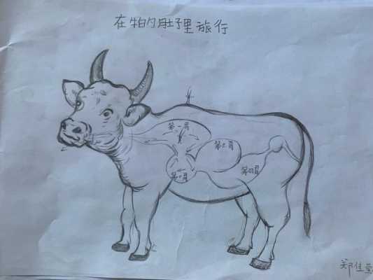 引产时胎儿为什么会死(20 小牛犊死在大牛肚子里该怎么办) 第2张 引产时胎儿为什么会死(20 小牛犊死在大牛肚子里该怎么办) 第2张