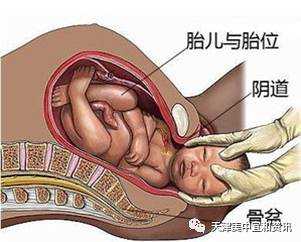 孕妇快生产时胎儿还会动么,临产宫缩时胎儿会动吗视频 第2张 孕妇快生产时胎儿还会动么,临产宫缩时胎儿会动吗视频 第2张