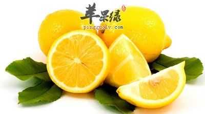 孕初期吃什么水果对胎儿好(孕早期可以吃鸽子吗) 第2张 孕初期吃什么水果对胎儿好(孕早期可以吃鸽子吗) 第2张