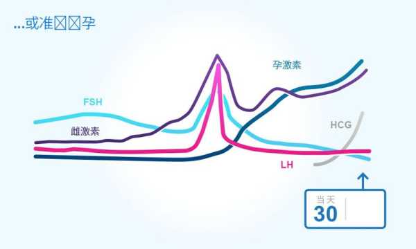 孕期激素变化(孕期激素变化曲线) 第1张 孕期激素变化(孕期激素变化曲线) 第1张